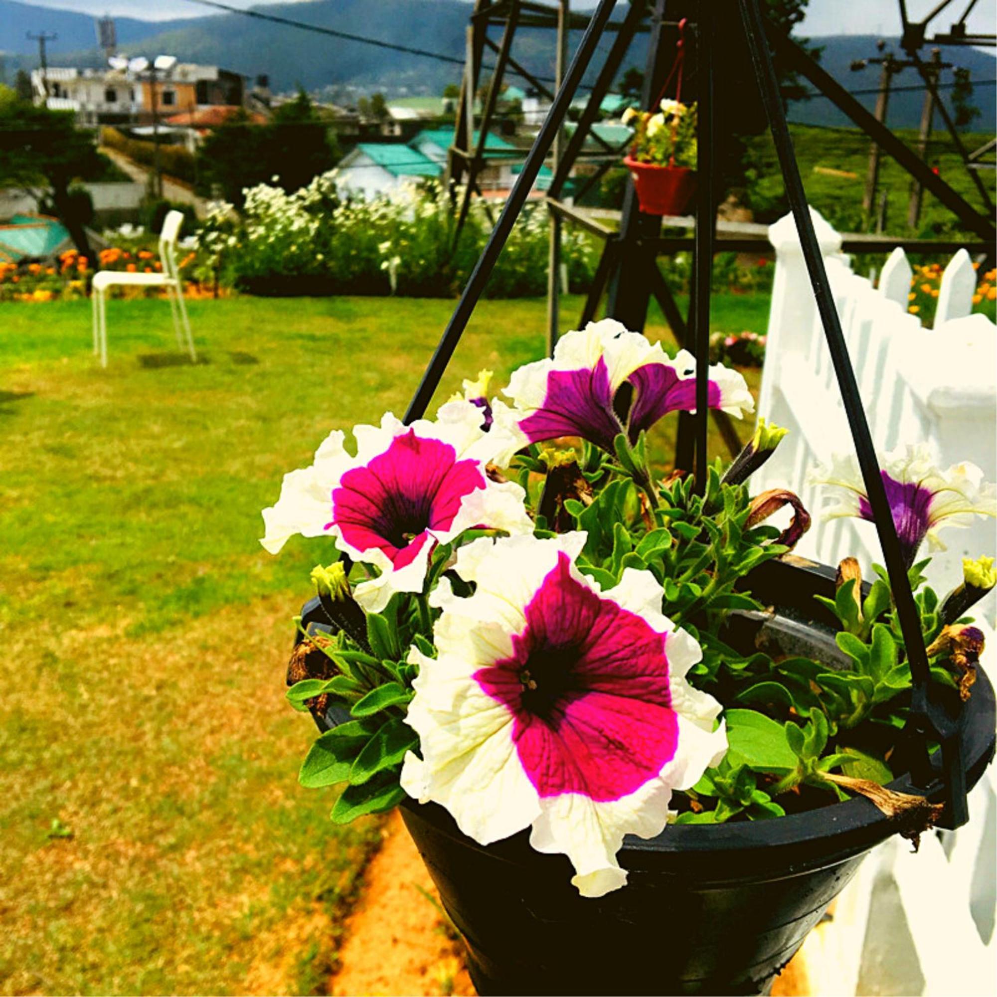 Thuring'S Holiday Bungalow Nuwara Eliya Exterior foto